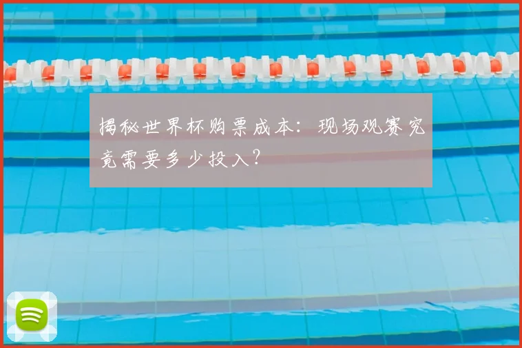 揭秘世界杯购票成本：现场观赛究竟需要多少投入？