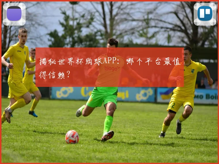 揭秘世界杯购球APP：哪个平台最值得信赖？